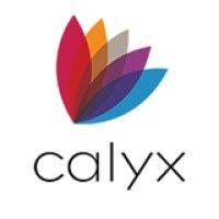 calyx logo image