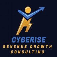 cyberise revenue growth and sales consulting logo image