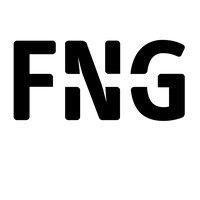 fng group logo image