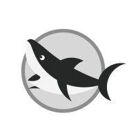 bshark holdings limited logo image