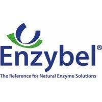 enzybel group logo image