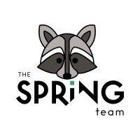 the spring team real estate