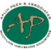 aplin peer & associates, inc. logo image