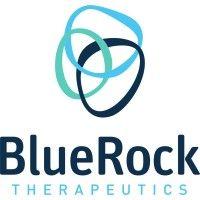 bluerock therapeutics logo image