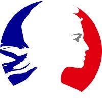 consulate general of france in miami 🇫🇷🇪🇺 logo image