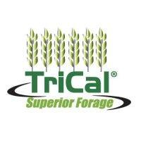 trical superior forage, a legacy agripartners company