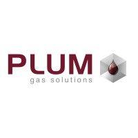 plum gas solutions logo image