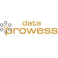 data prowess logo image