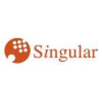 singular digital logo image