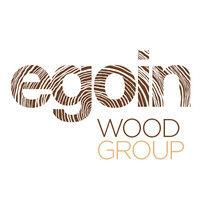 egoin logo image