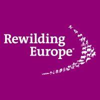 rewilding europe