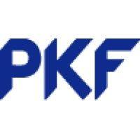 pkf c&p business development gmbh logo image