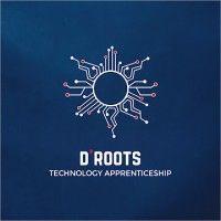 digital roots albania