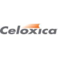 celoxica logo image