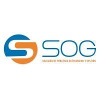 sog consulting ltda. logo image