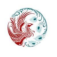 firebird rise logo image