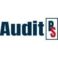 audit practice support