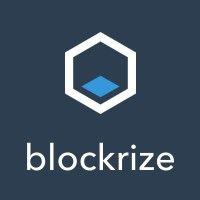 blockrize logo image