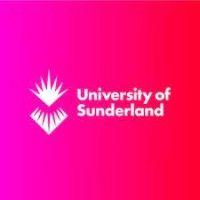 sunderland business school at the university of sunderland logo image