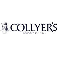 the college of richard collyer logo image