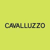 cavalluzzo llp logo image