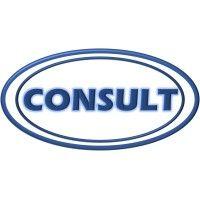 consult - |consultoria de pessoal e servições temporários