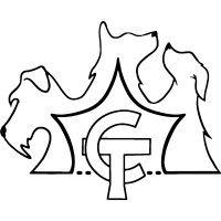 chasing tails dog training logo image