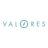 valores soluções logo image