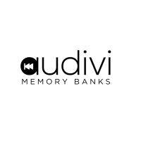 audivi memory banks logo image