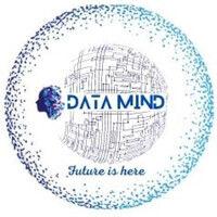 data mind ltd. logo image