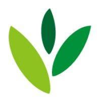 caelus sustainability consulting / currentstate.online logo image