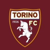 torino football club