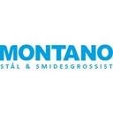 logo of Montano