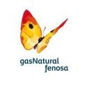 logo of Gas Natural Fenosa