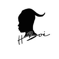 h-boi.com logo image