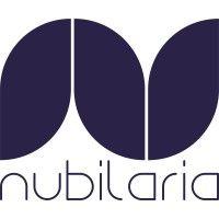 nubilaria - your data specialists logo image