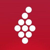 vivino logo image