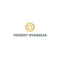 trident overseas logo image