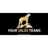 your sales teams logo image