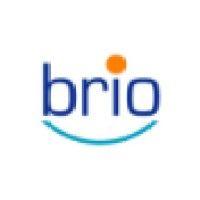 brio systems inc