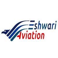 eshwari aviation logo image