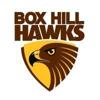 box hill hawks football club logo image