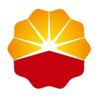 petrochina international (singapore) logo image