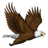 eagle  usa, inc. logo image