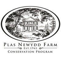 plas newydd llc logo image