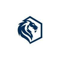 lionet networks logo image