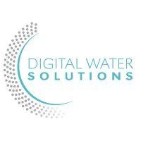 digital water solutions inc. logo image