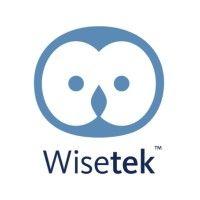 wisetek logo image