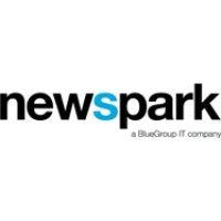 newspark bv logo image