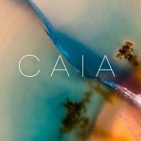 caia logo image